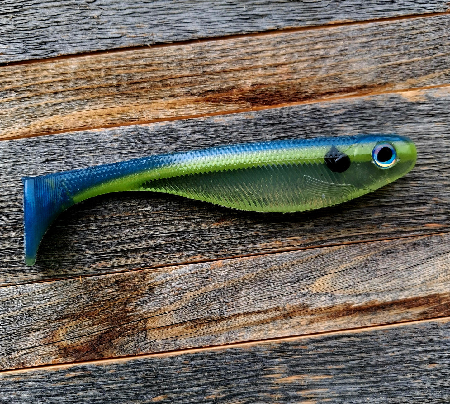 6" BCP Swimbait