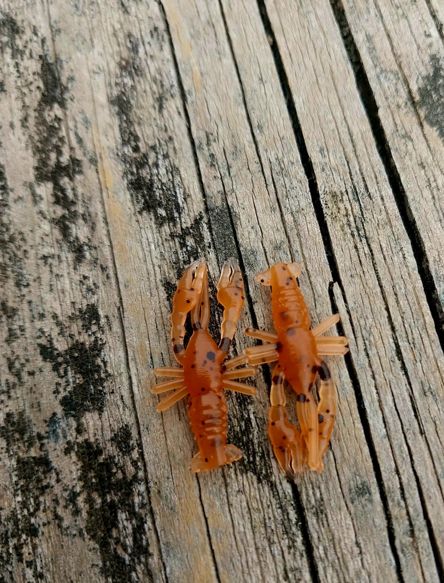 1" Craw