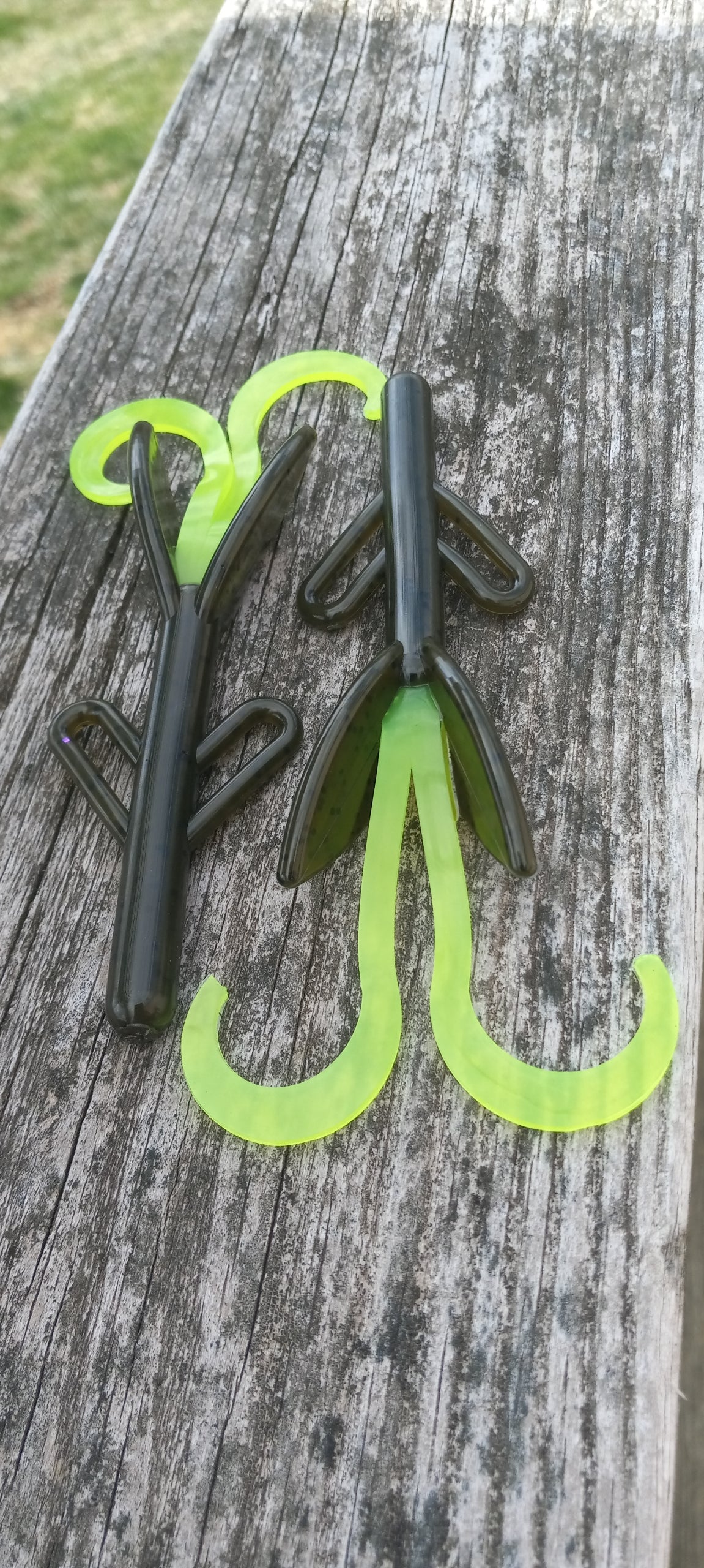 Dark Green Pumpkin w\Chartreuse Tail