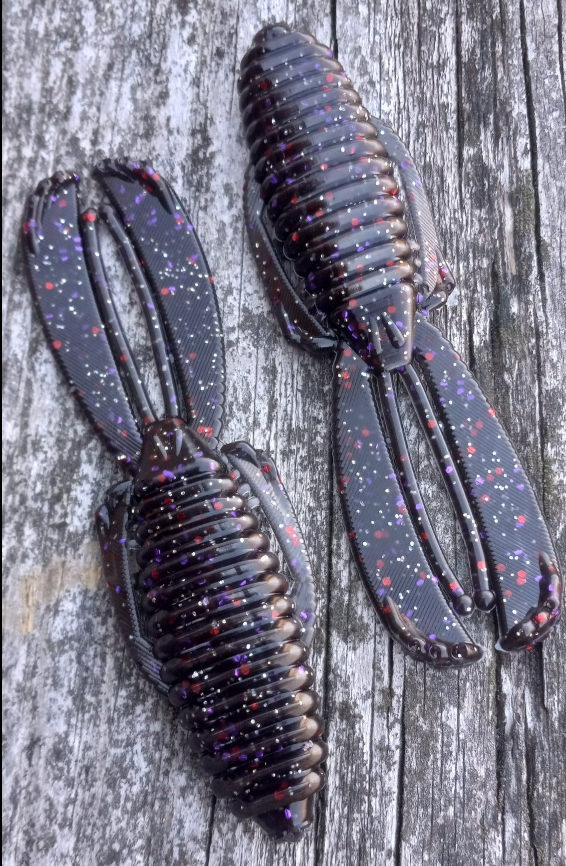 South African Special Bug