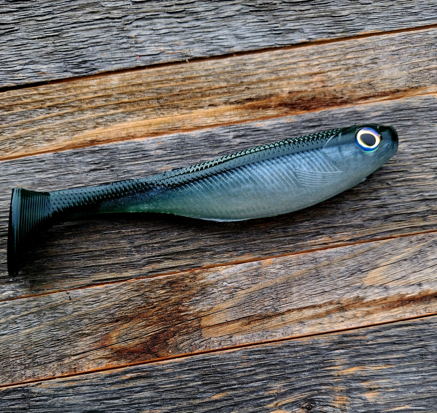 6" BCP Swimbait