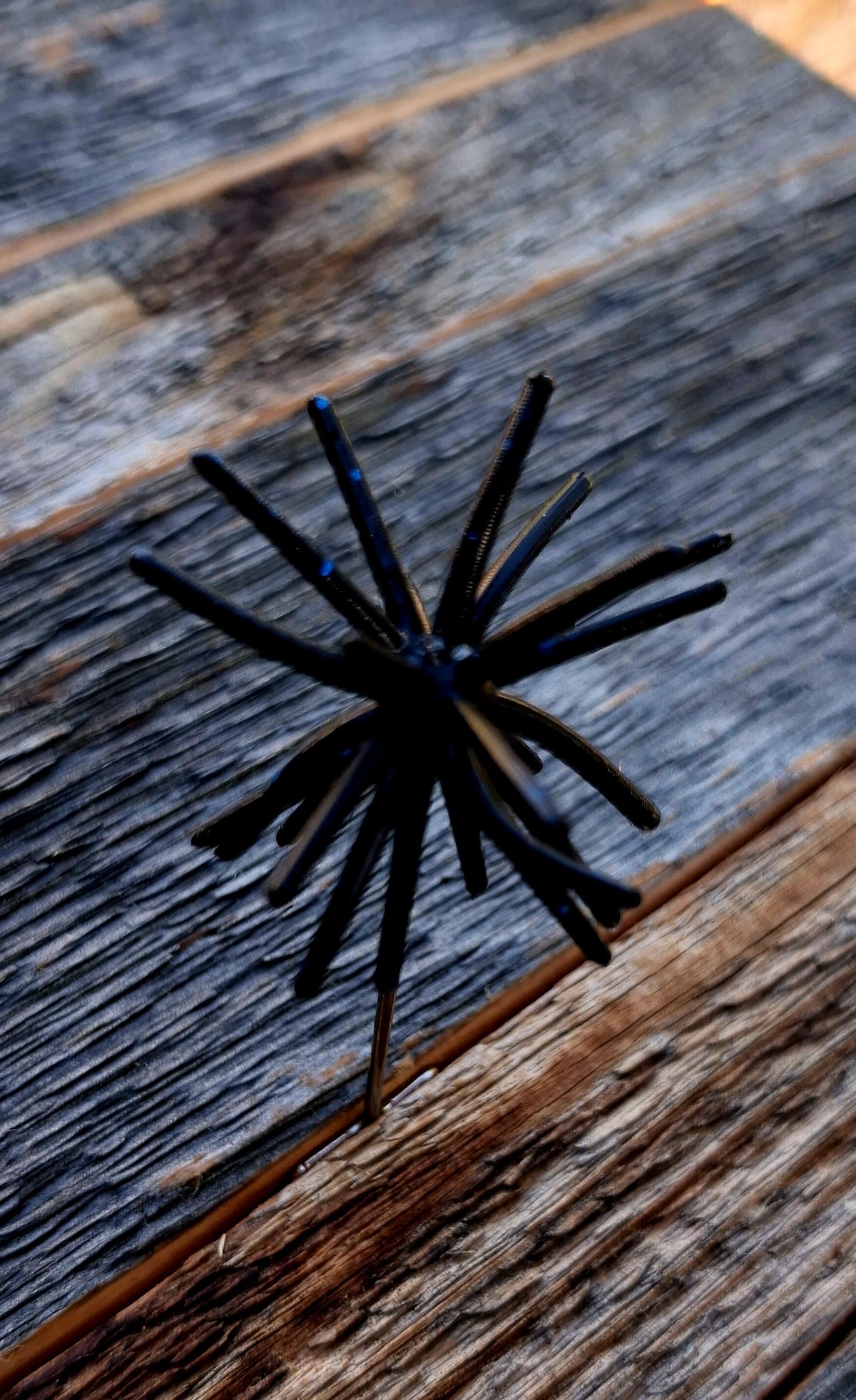 1" Spikey