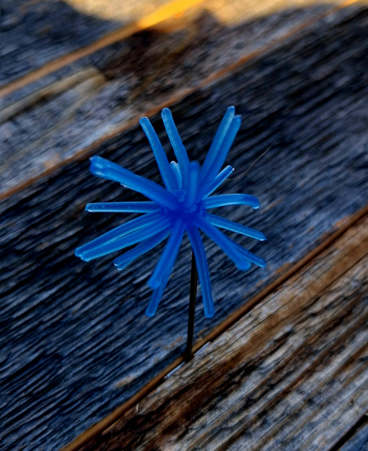 1" Spikey