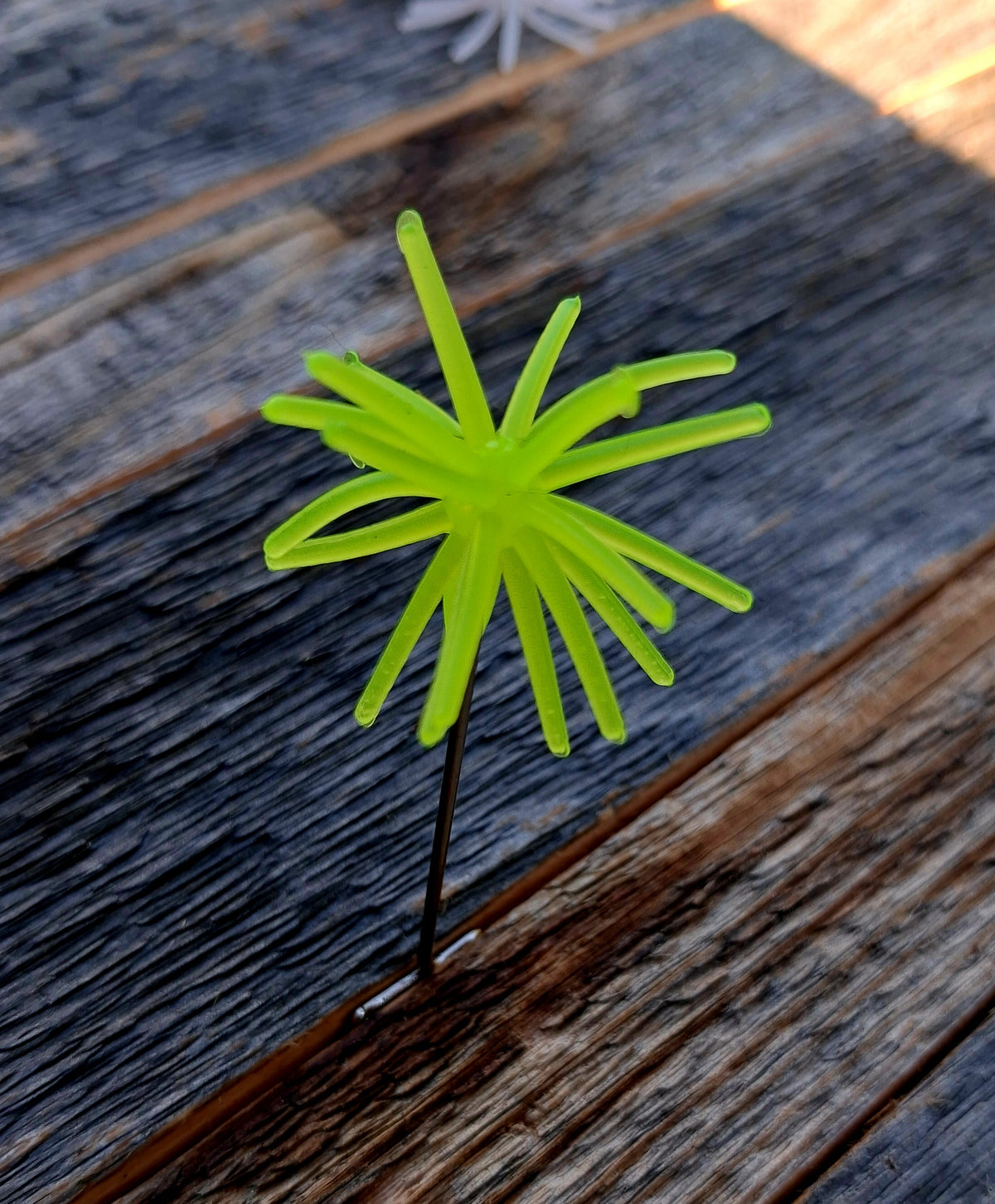 1" Spikey