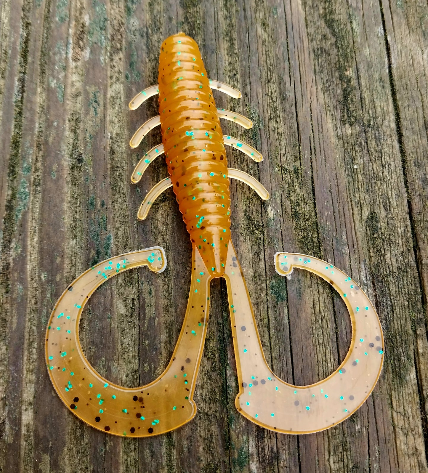 5" Rocky