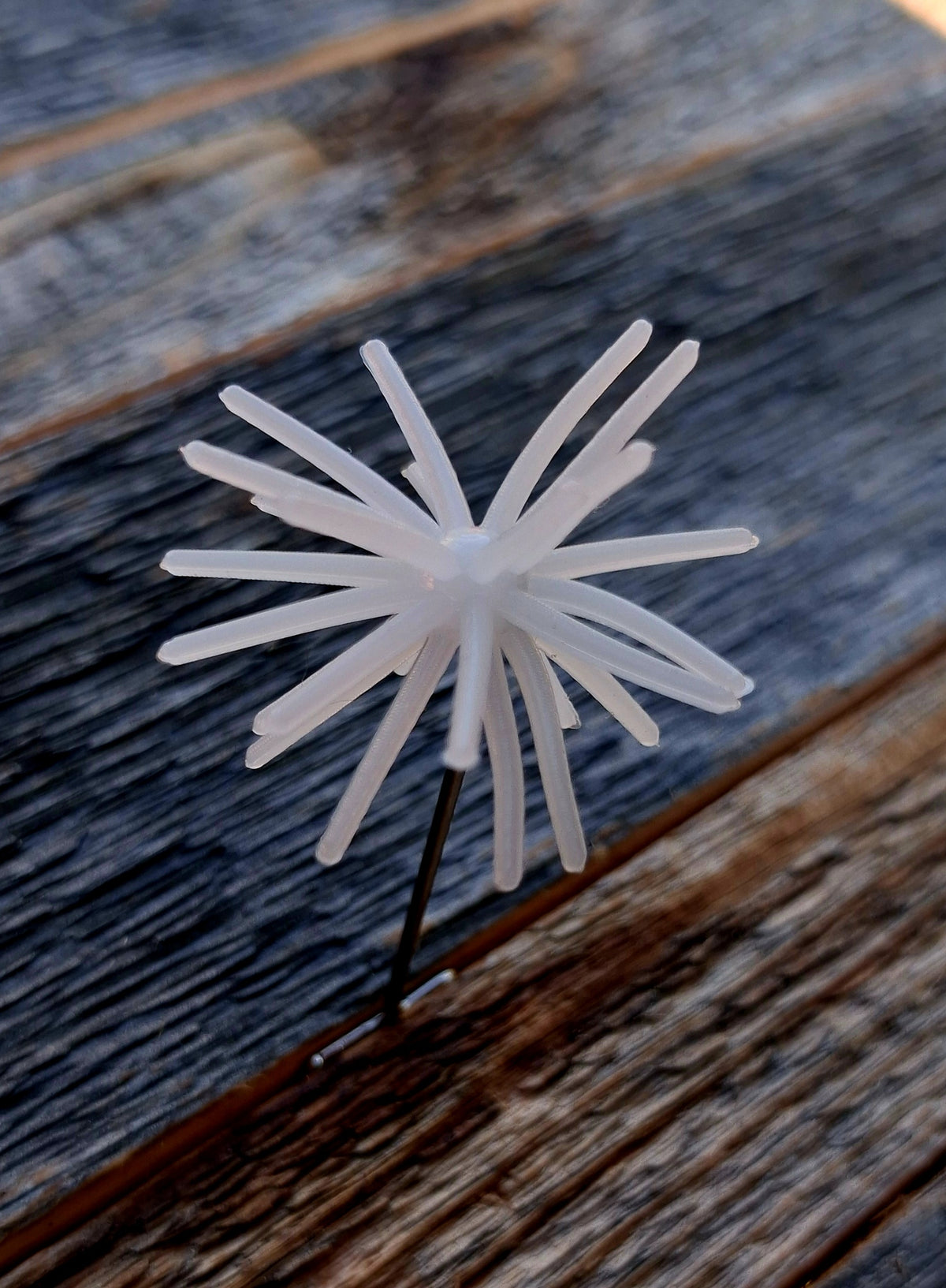 1" Spikey