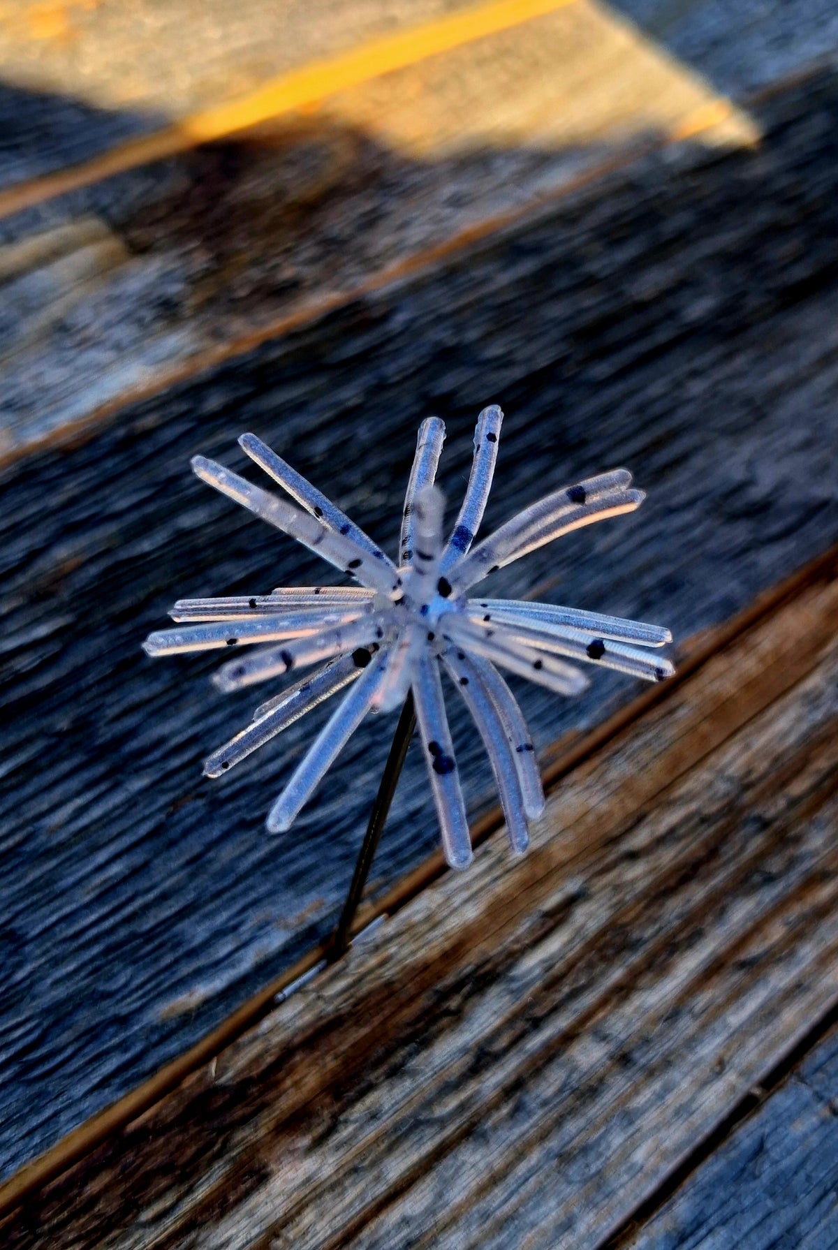 1" Spikey
