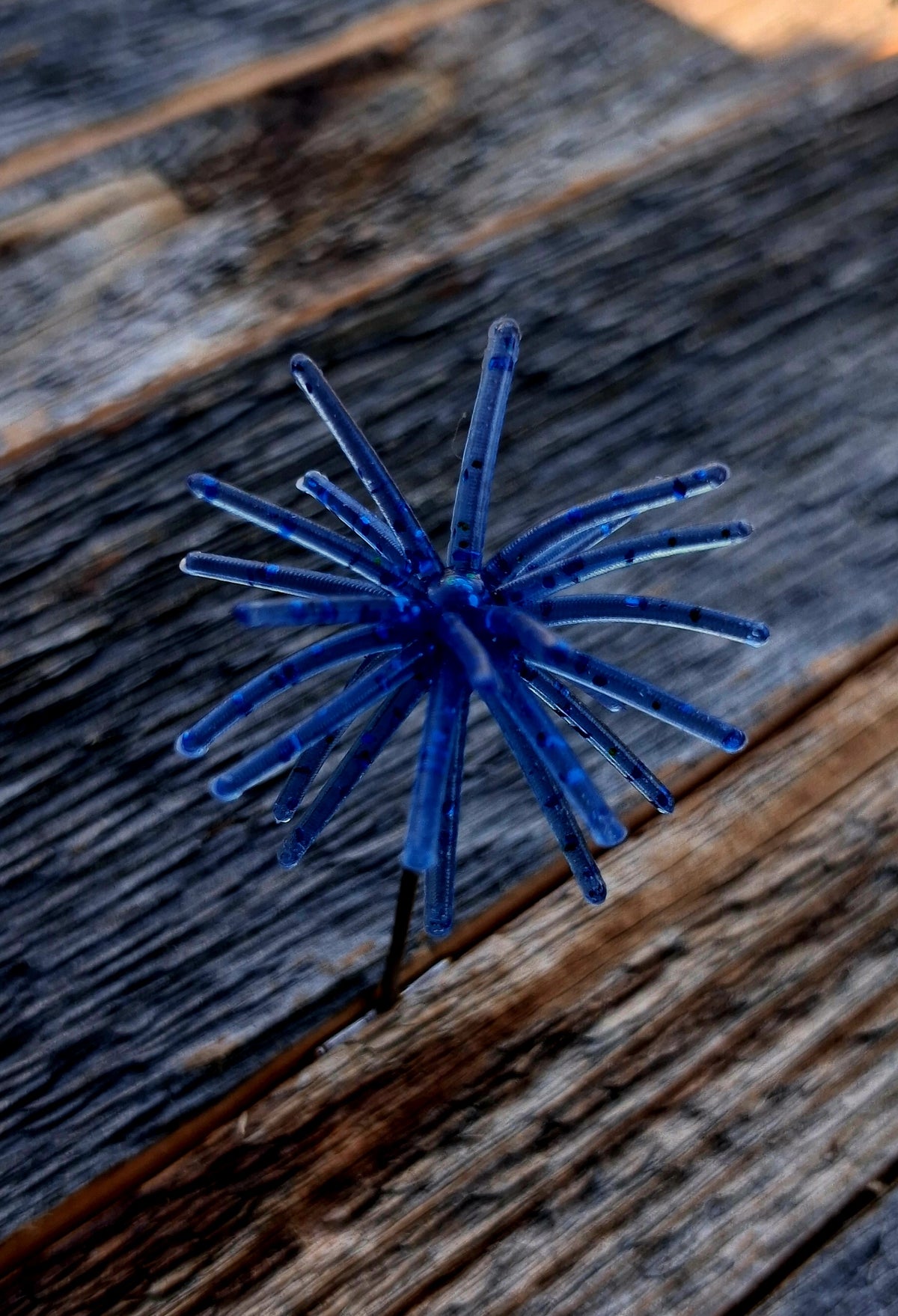 1" Spikey