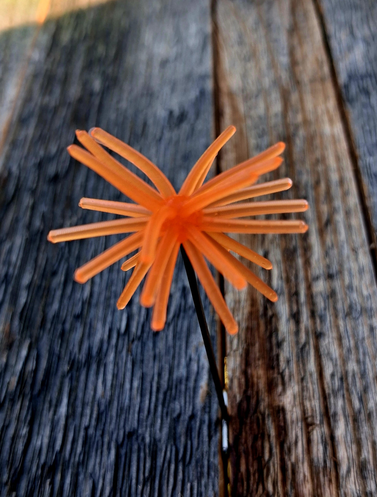 1" Spikey