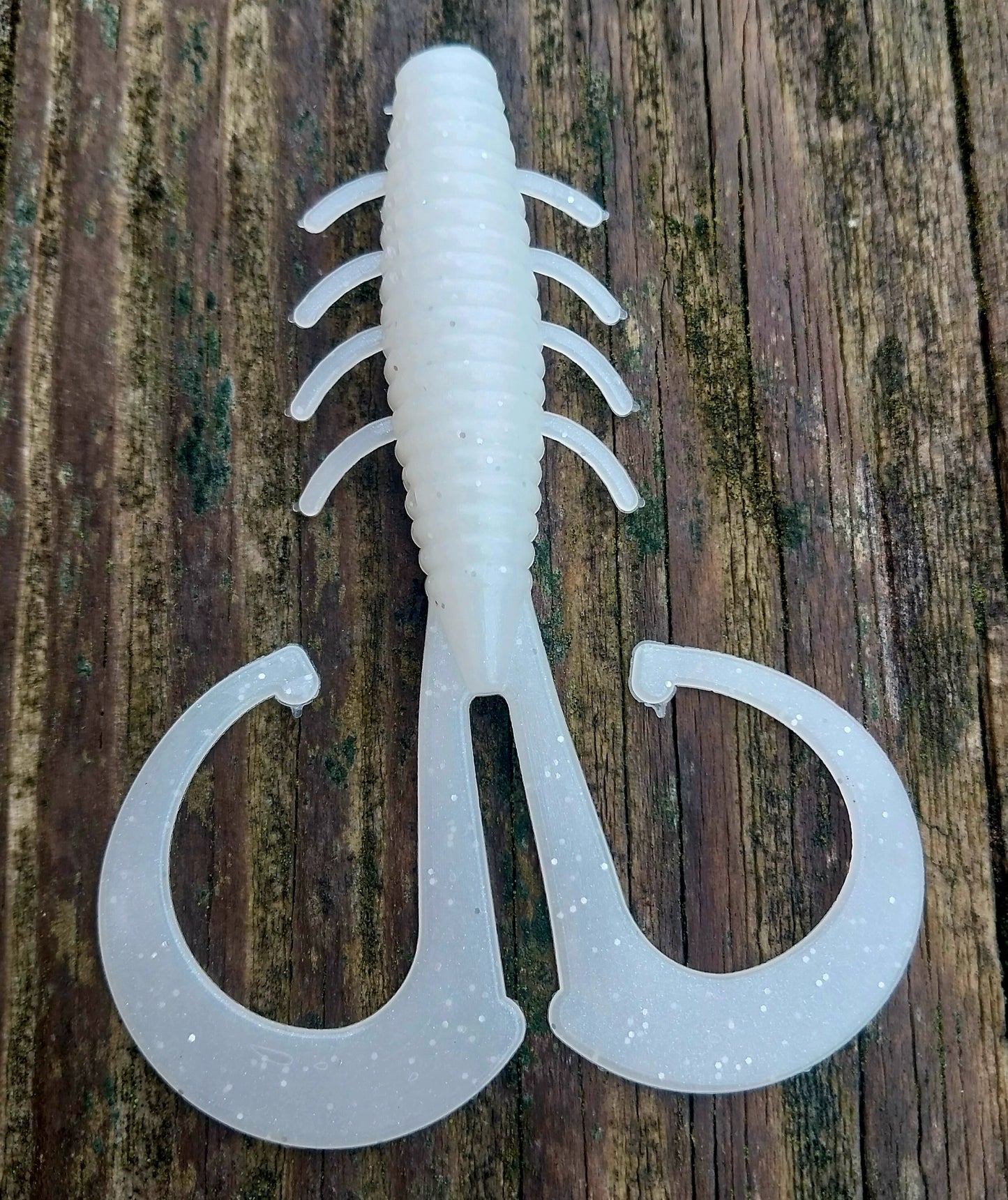 5" Rocky