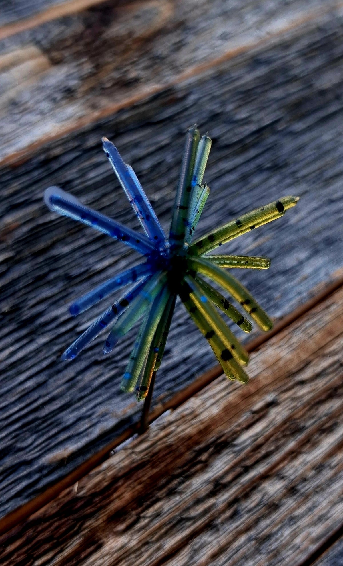 1" Spikey