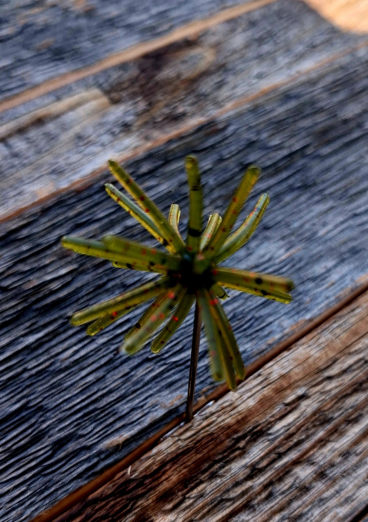 1" Spikey
