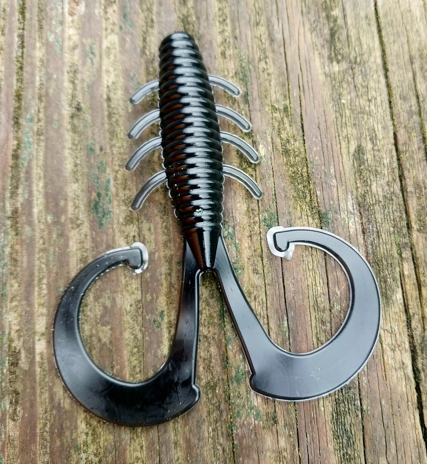 5" Rocky