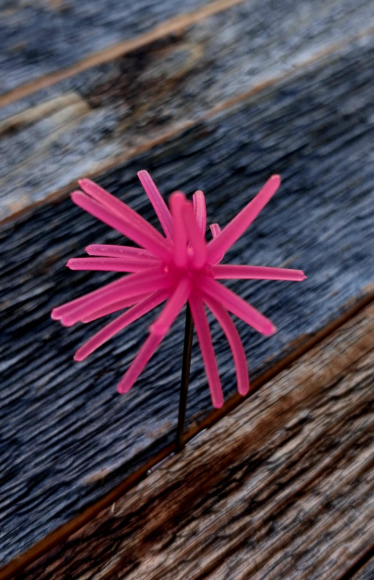 1" Spikey