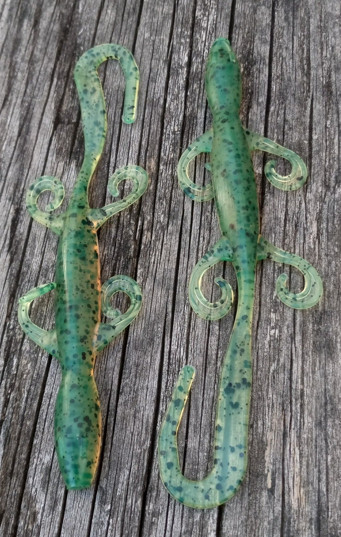 Customizable Lizard 6